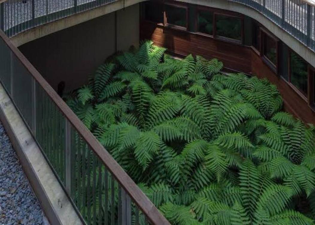 Nishi Holiday Apartments Canberra Esterno foto